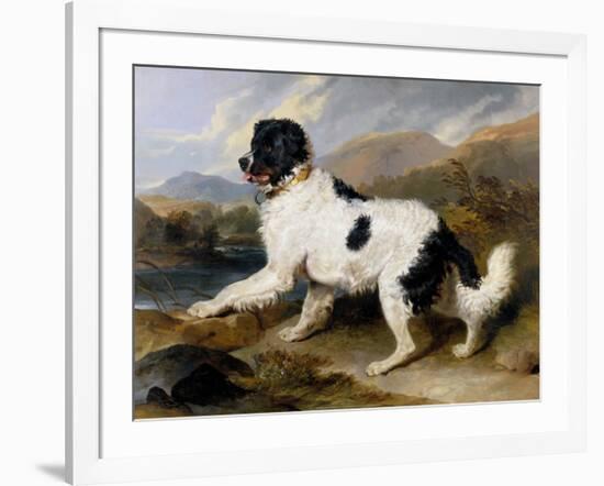 Lion: A Newfoundland Dog, 1824-Sir Edwin Henry Landseer-Framed Art Print