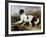 Lion: A Newfoundland Dog, 1824-Sir Edwin Henry Landseer-Framed Art Print