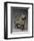 Lion à queue articulée-null-Framed Giclee Print