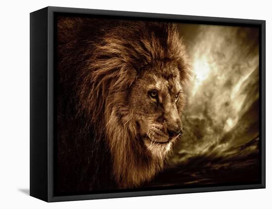 Lion Against Stormy Sky-NejroN Photo-Framed Premier Image Canvas