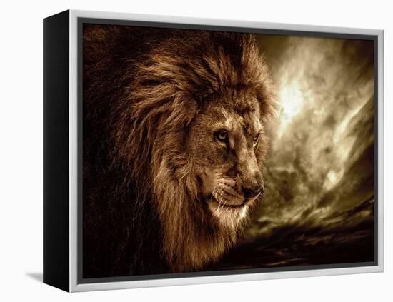 Lion Against Stormy Sky-NejroN Photo-Framed Premier Image Canvas