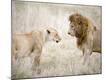Premium Photographic Print