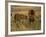 Lion and Lioness Growling at Each Other, Masai Mara National Reserve, Rift Valley, Kenya-Mitch Reardon-Framed Photographic Print