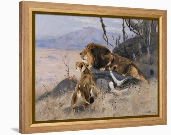 Lion and Lioness; Lowe Und Lowin-Wilhelm Kuhnert-Framed Premier Image Canvas