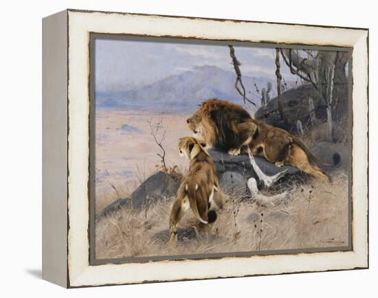 Lion and Lioness; Lowe Und Lowin-Wilhelm Kuhnert-Framed Premier Image Canvas