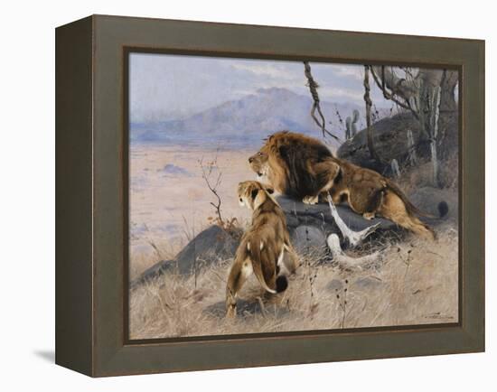 Lion and Lioness; Lowe Und Lowin-Wilhelm Kuhnert-Framed Premier Image Canvas