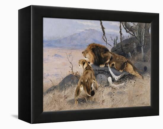 Lion and Lioness; Lowe Und Lowin-Wilhelm Kuhnert-Framed Premier Image Canvas