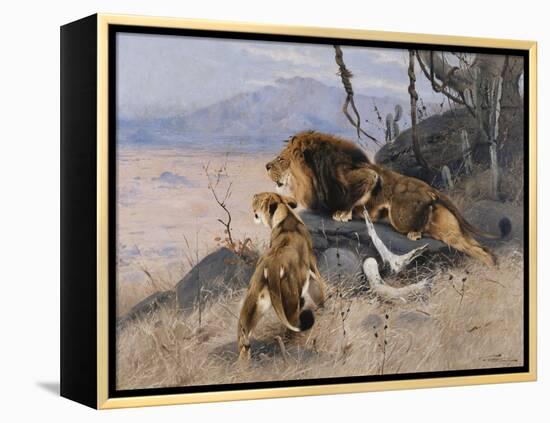 Lion and Lioness; Lowe Und Lowin-Wilhelm Kuhnert-Framed Premier Image Canvas