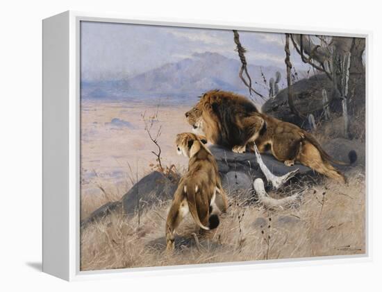 Lion and Lioness; Lowe Und Lowin-Wilhelm Kuhnert-Framed Premier Image Canvas