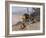 Lion and Lioness; Lowe Und Lowin-Wilhelm Kuhnert-Framed Giclee Print