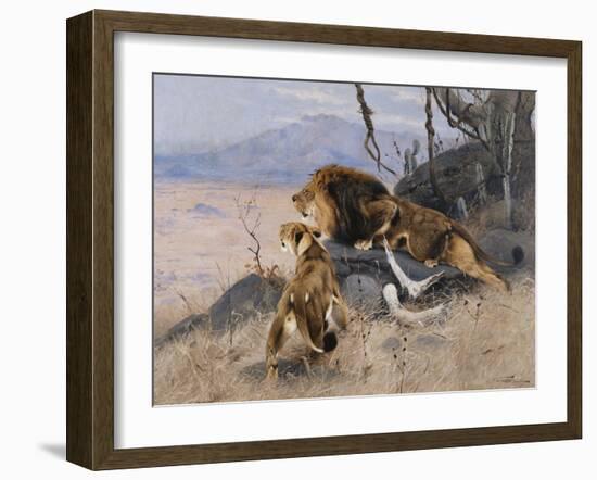 Lion and Lioness; Lowe Und Lowin-Wilhelm Kuhnert-Framed Giclee Print