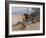 Lion and Lioness; Lowe Und Lowin-Wilhelm Kuhnert-Framed Giclee Print