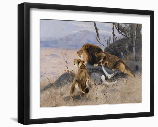 Lion and Lioness; Lowe Und Lowin-Wilhelm Kuhnert-Framed Giclee Print