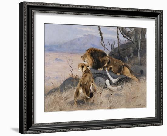 Lion and Lioness; Lowe Und Lowin-Wilhelm Kuhnert-Framed Giclee Print