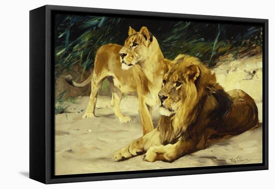 Lion and Lioness-Lowenparr-Wilhelm Kuhnert-Framed Premier Image Canvas