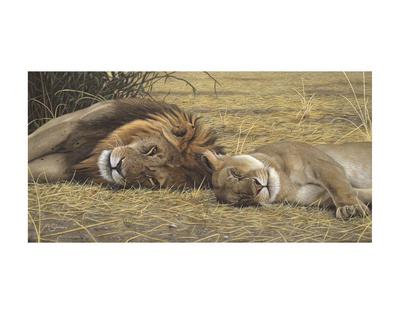 Lion And Lioness Art Print Adam Smith Art Com