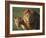 Lion and Lioness-DLILLC-Framed Photographic Print