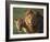 Lion and Lioness-DLILLC-Framed Photographic Print