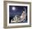 Lion And Mice-Nancy Tillman-Framed Premium Giclee Print