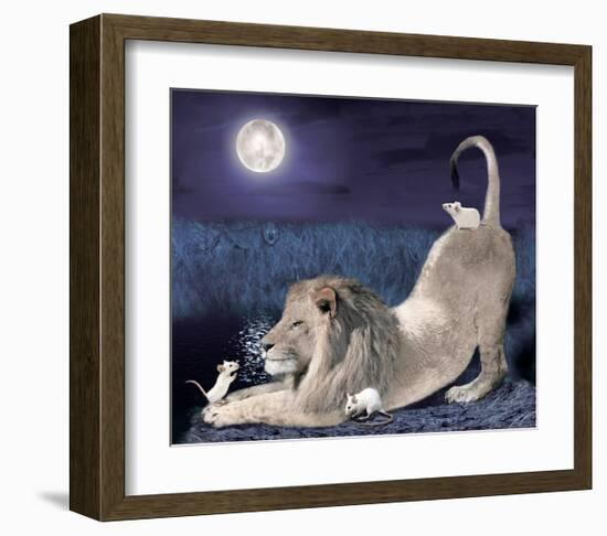 Lion And Mice-Nancy Tillman-Framed Premium Giclee Print