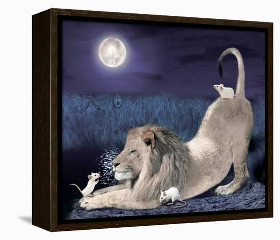 Lion And Mice-Nancy Tillman-Framed Stretched Canvas