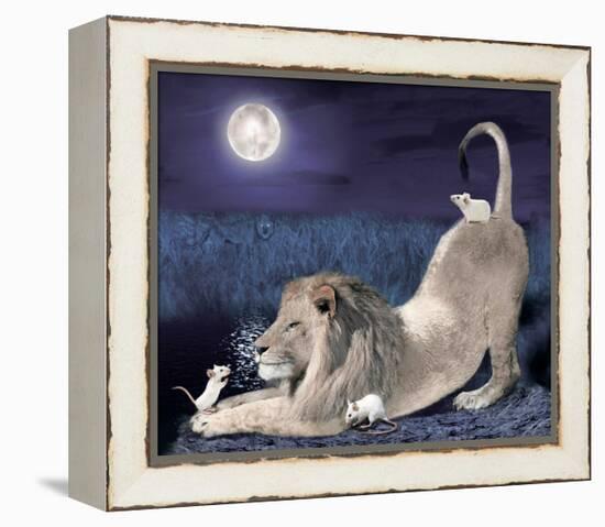 Lion And Mice-Nancy Tillman-Framed Stretched Canvas