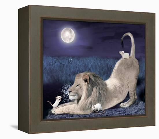 Lion And Mice-Nancy Tillman-Framed Stretched Canvas