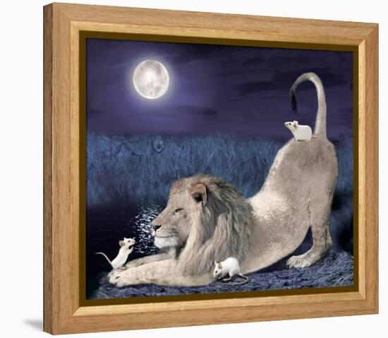 Lion And Mice-Nancy Tillman-Framed Stretched Canvas