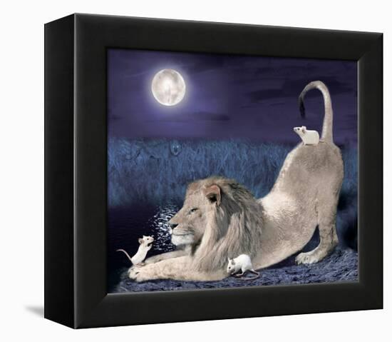 Lion And Mice-Nancy Tillman-Framed Stretched Canvas