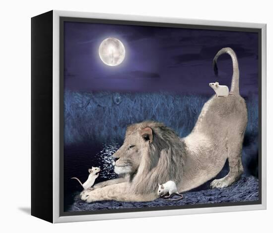 Lion And Mice-Nancy Tillman-Framed Stretched Canvas