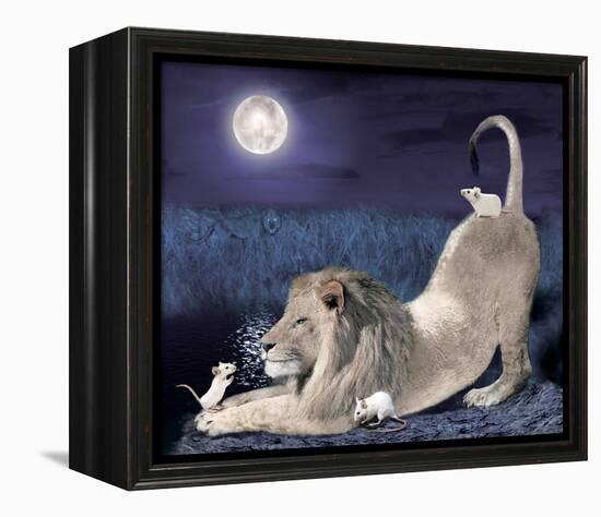 Lion And Mice-Nancy Tillman-Framed Stretched Canvas