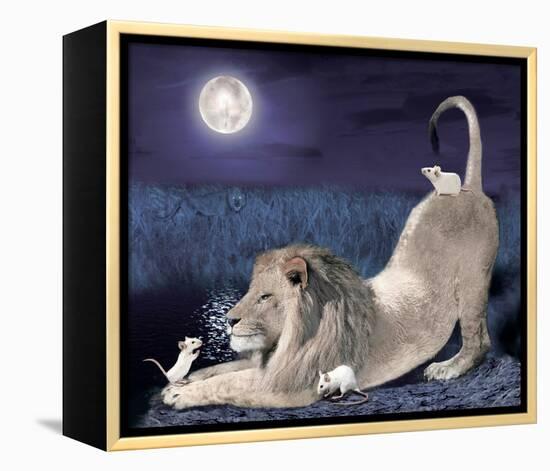 Lion And Mice-Nancy Tillman-Framed Stretched Canvas