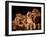 Lion and Three Lioness-NejroN Photo-Framed Photographic Print