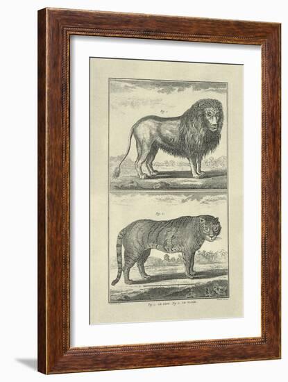 Lion and Tiger-Denis Diderot-Framed Art Print