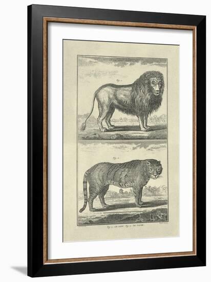 Lion and Tiger-Denis Diderot-Framed Art Print