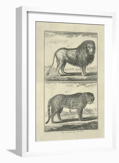 Lion and Tiger-Denis Diderot-Framed Art Print