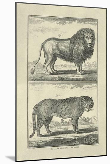 Lion and Tiger-Denis Diderot-Mounted Art Print