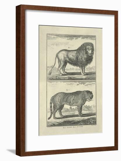Lion and Tiger-Denis Diderot-Framed Art Print