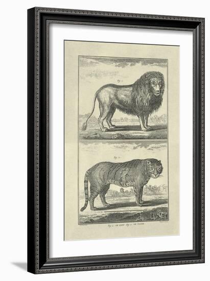 Lion and Tiger-Denis Diderot-Framed Art Print