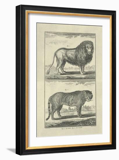 Lion and Tiger-Denis Diderot-Framed Art Print