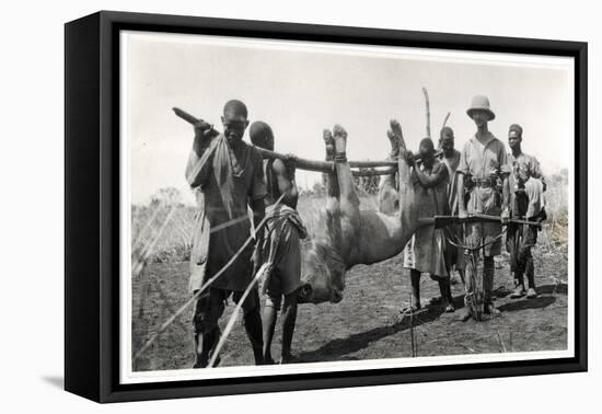 Lion at Bahr El Ghazal, Am Dafok, 1925-Georges-Marie Haardt-Framed Premier Image Canvas