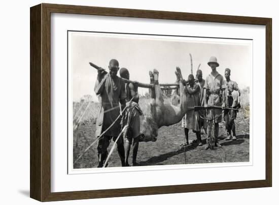 Lion at Bahr El Ghazal, Am Dafok, 1925-Georges-Marie Haardt-Framed Giclee Print