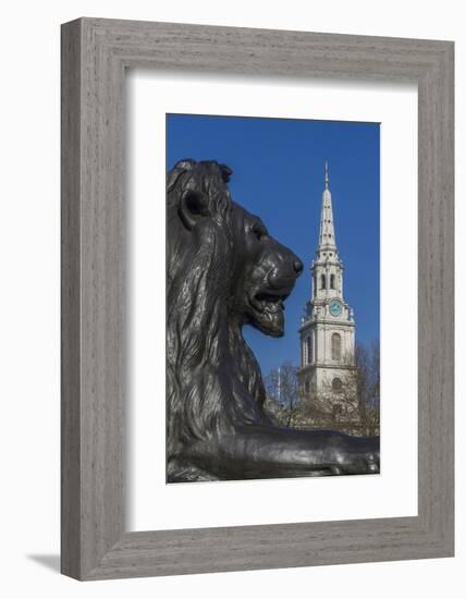 Lion at Foot of Nelson's Column and St. Martin-In-The-Fields Church-Rolf Richardson-Framed Photographic Print