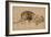 Lion au repos-Rembrandt van Rijn-Framed Premium Giclee Print