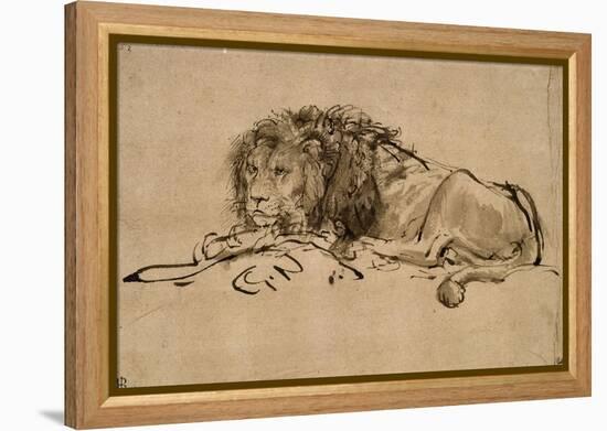 Lion au repos-Rembrandt van Rijn-Framed Premier Image Canvas