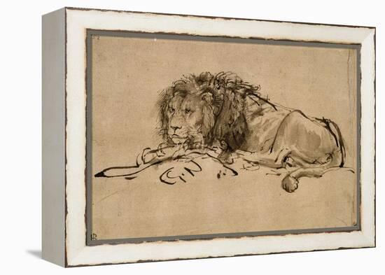 Lion au repos-Rembrandt van Rijn-Framed Premier Image Canvas