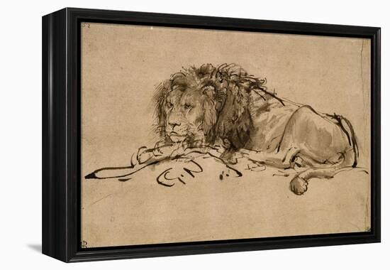 Lion au repos-Rembrandt van Rijn-Framed Premier Image Canvas