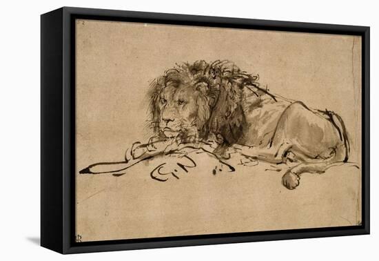 Lion au repos-Rembrandt van Rijn-Framed Premier Image Canvas