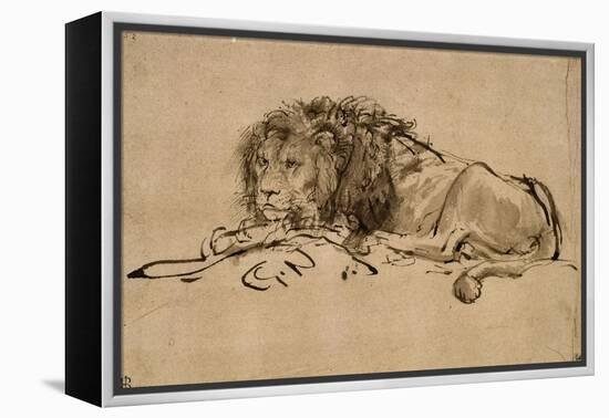 Lion au repos-Rembrandt van Rijn-Framed Premier Image Canvas