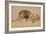 Lion au repos-Rembrandt van Rijn-Framed Giclee Print